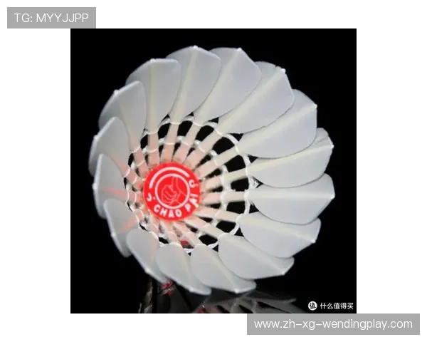 羽毛球要用红超